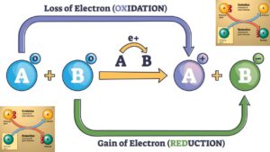 Oxidation & Reduction : ऑक्सीकरण एवं अवकरण 2024